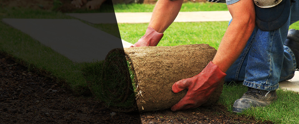 Stanardsville Landscapers
